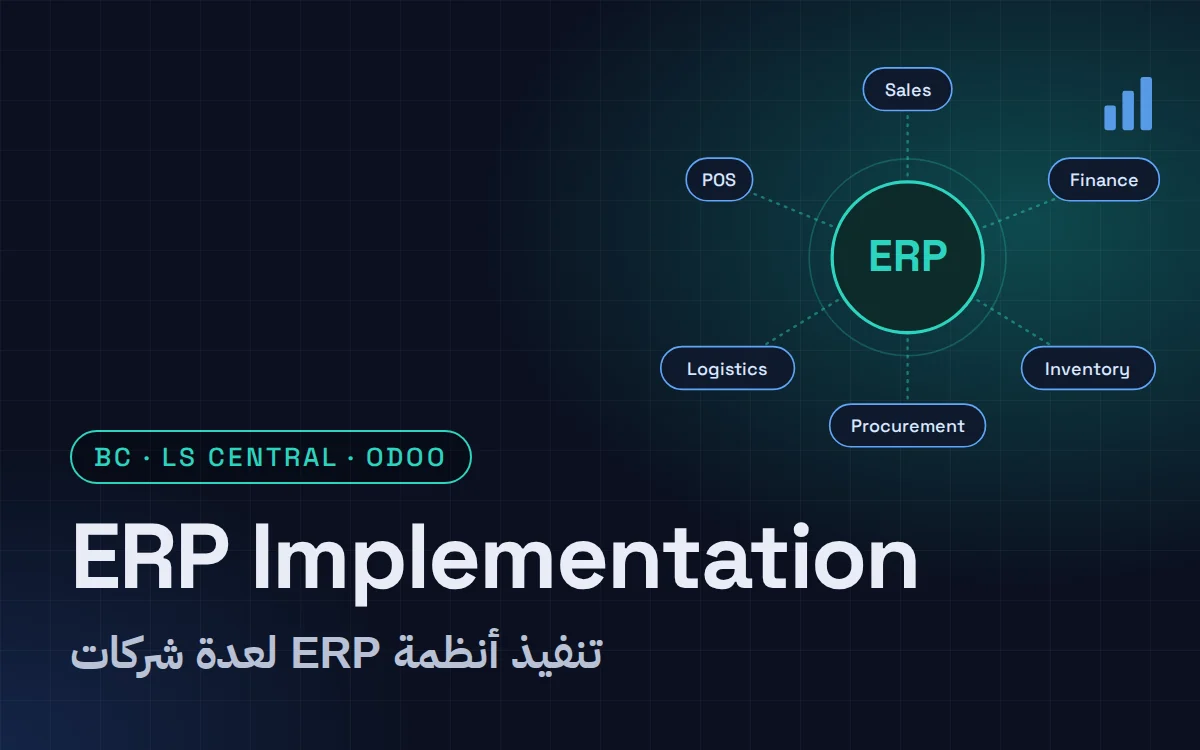 ERP Implementation for Multiple Companies